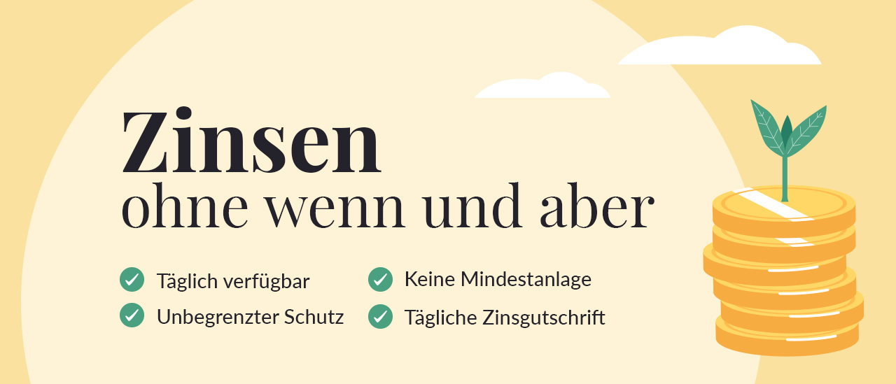 Zinspocket_EVERGREEN