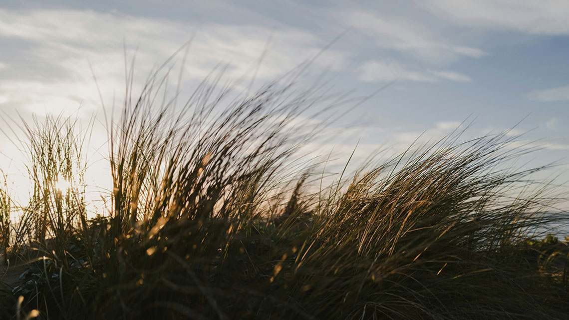 Eine Düne am Strand bei Wind