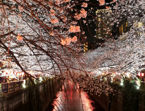 Marktkommentar Dezember: Freundliches Jahresende – jedoch geldpolitisch sensibel