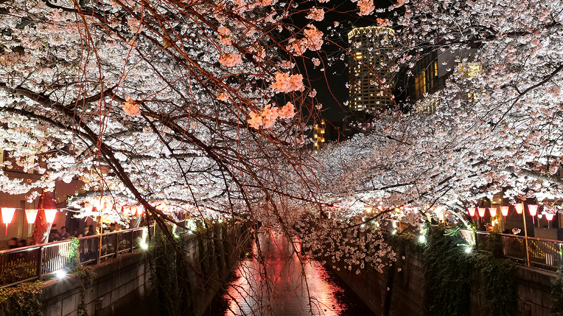 marktkommentar_dezember