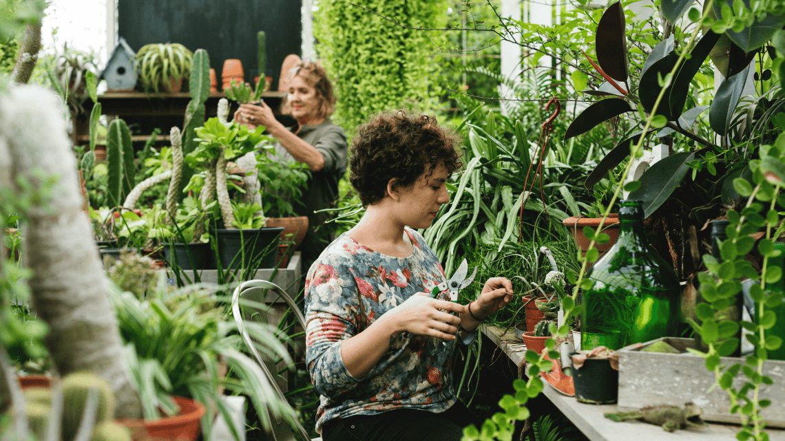 Zwei Frauen pflegen Pflanzen in einem grünen Gewächshaus — nachhaltiger Vermögensaufbau mit vermögenswirksamen Leistungen